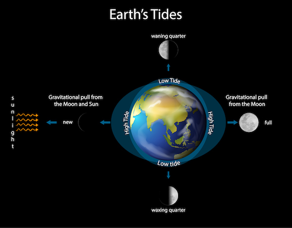 Schéma du fonctionnement de l'effet des marées sur Terre